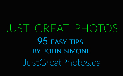 John Simone's Just Great Photos: 95 Easy Tips photo online photo cours