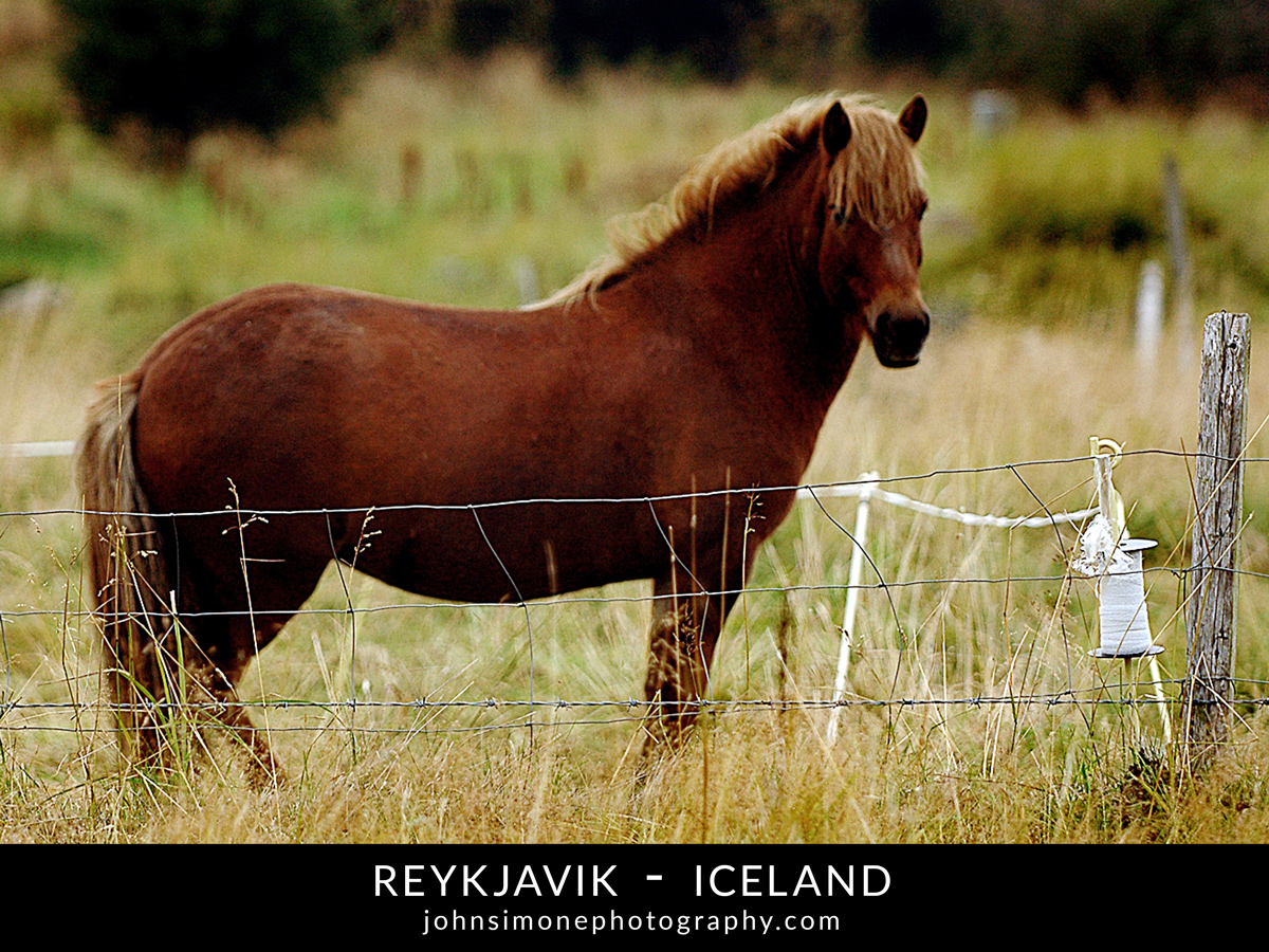 A photo-essay by John Simone Photography on Reykjavik, Iceland